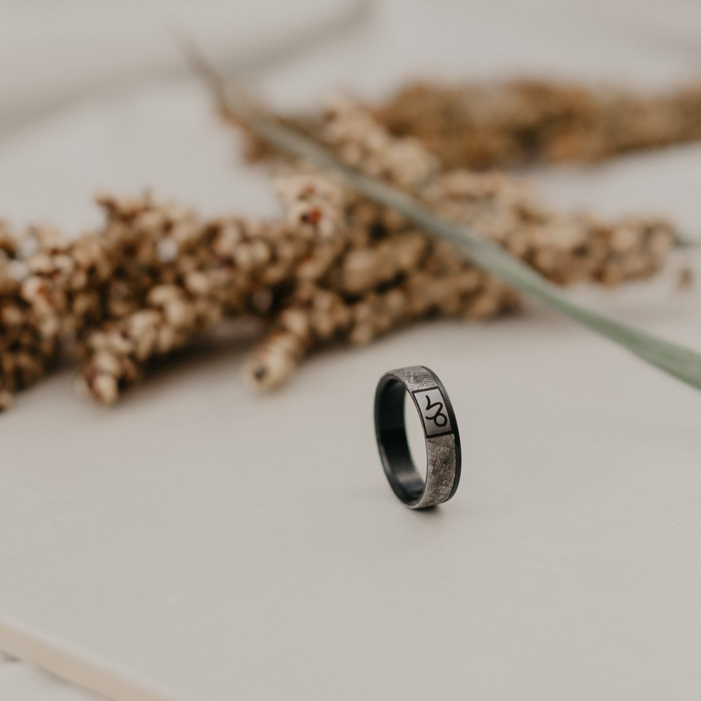 Zodiac Alba Black zirconium