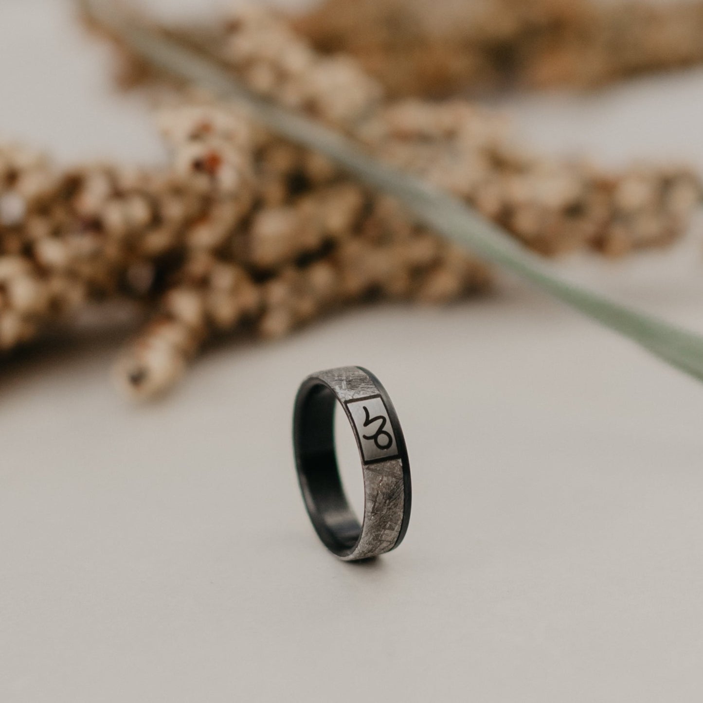 Zodiac Hydra Black Zirconium